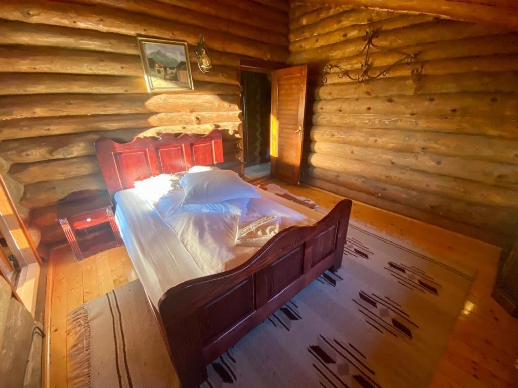 Cabana Vanatorului Rîşnov 外观 照片