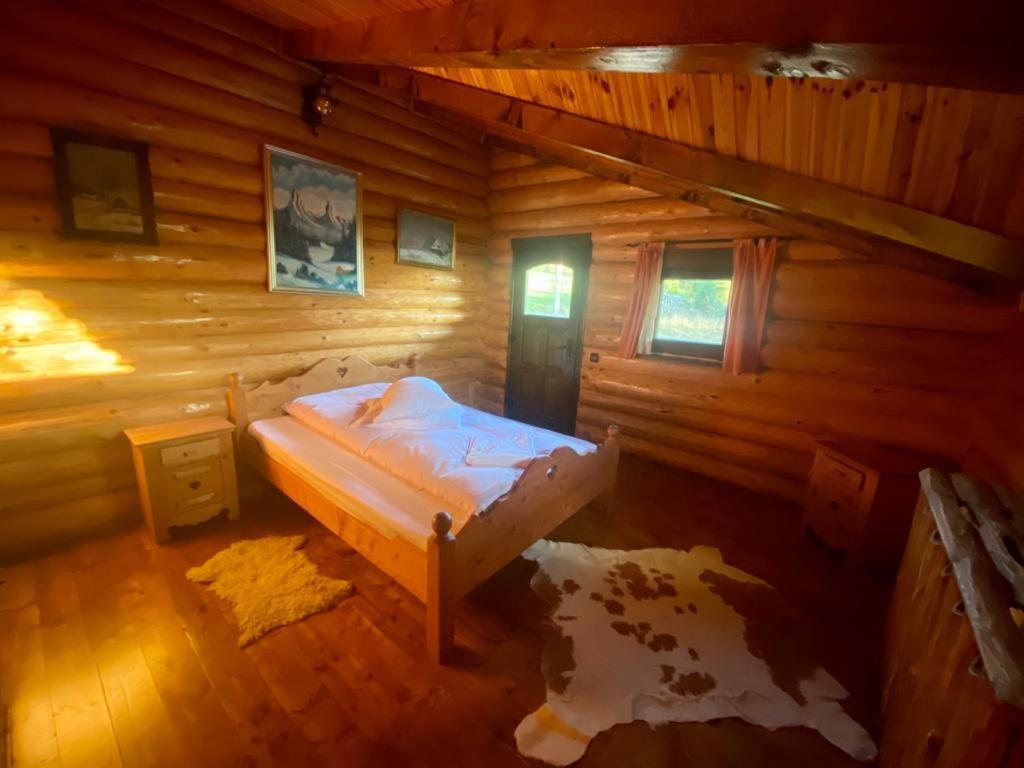 Cabana Vanatorului Rîşnov 外观 照片