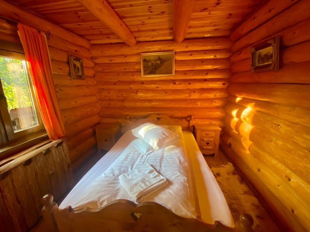 Cabana Vanatorului Rîşnov 外观 照片