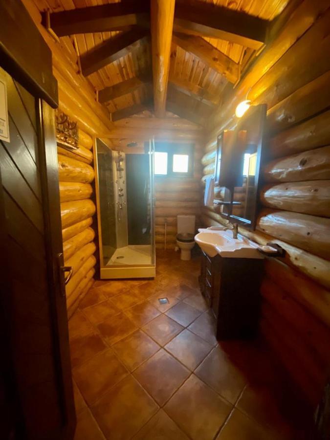 Cabana Vanatorului Rîşnov 外观 照片