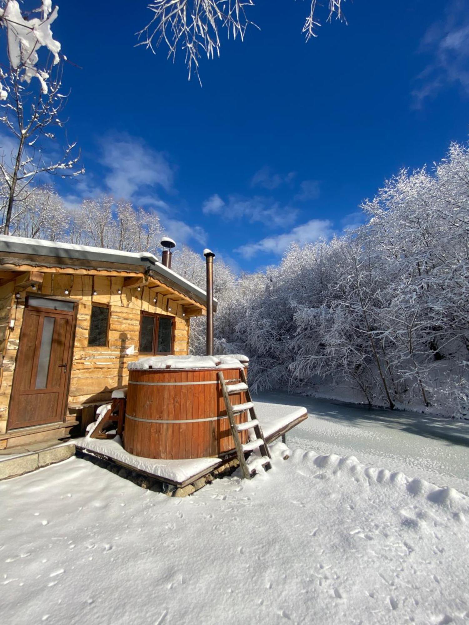 Cabana Vanatorului Rîşnov 外观 照片