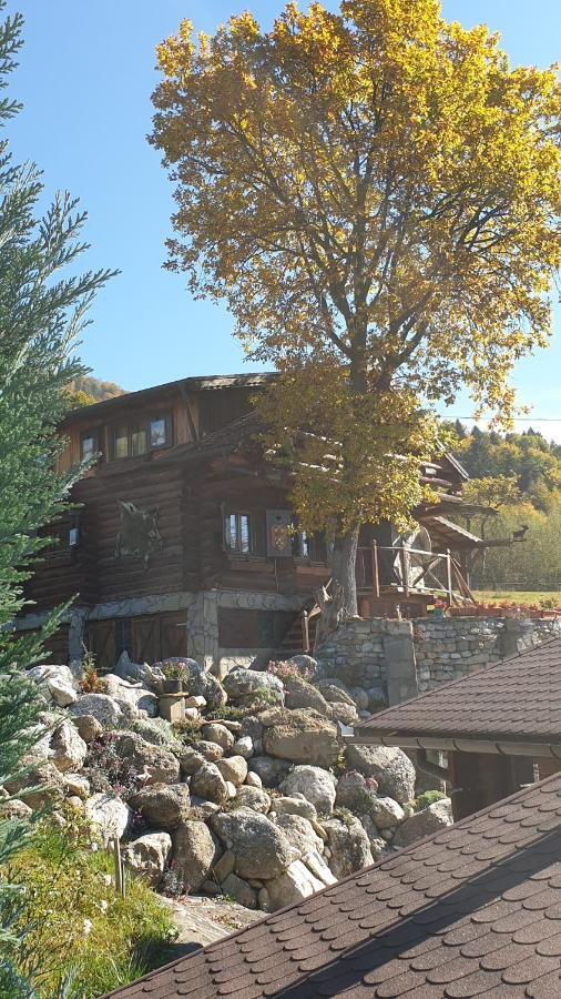 Cabana Vanatorului Rîşnov 外观 照片