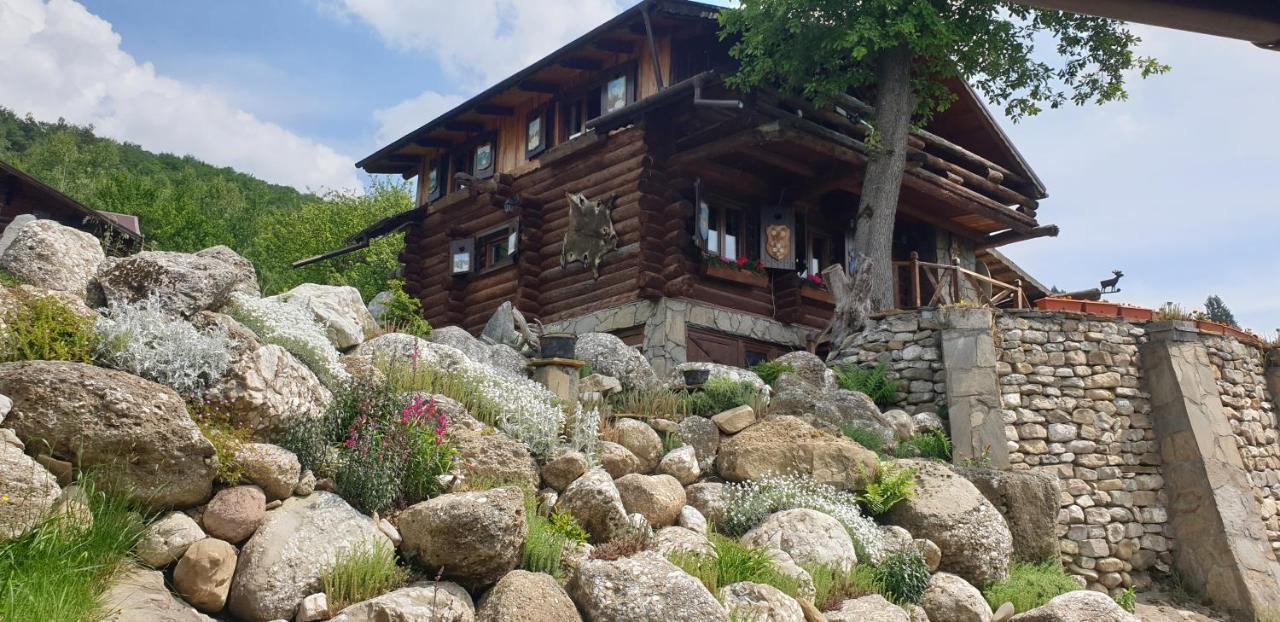 Cabana Vanatorului Rîşnov 外观 照片